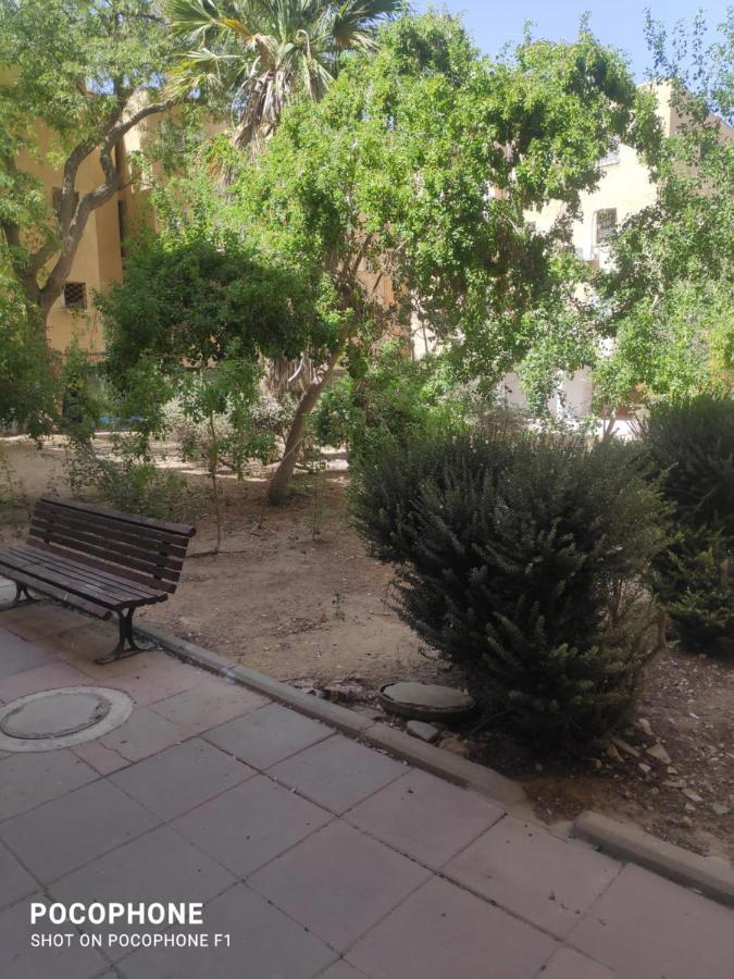阿拉德סוויטה של אלון公寓 外观 照片