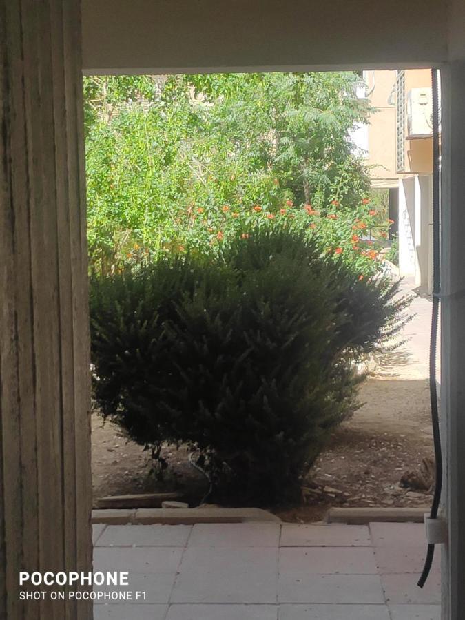 阿拉德סוויטה של אלון公寓 外观 照片